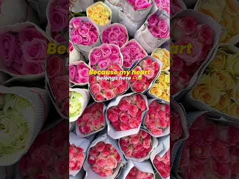 Promotional collaboration video for Urban Streetwear & Apparel